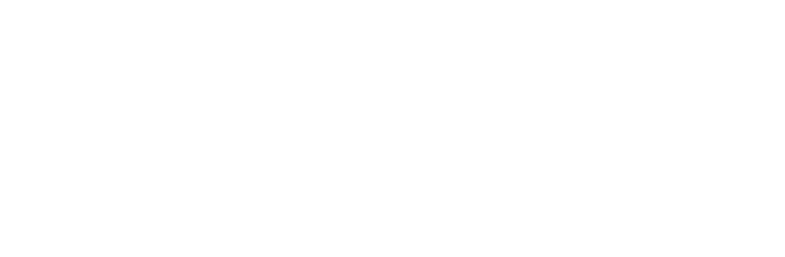 type treatment for About Paul Scott Adamo page title