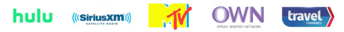 logoset-3-crop montage of Hulu, SiriusXM, MTV, Oprah Winfrey Network, and Travel Channel logos showing companies Paul has worked with